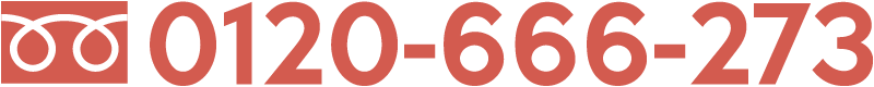 0120-666-273